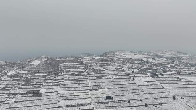 下雪的山     住户