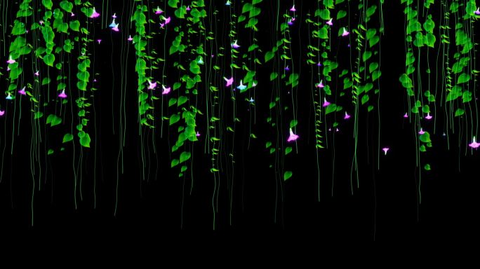 teamlab 牵牛花 植物 生长 背景