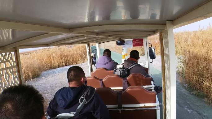 游客乘坐观光车行驶在深秋景区