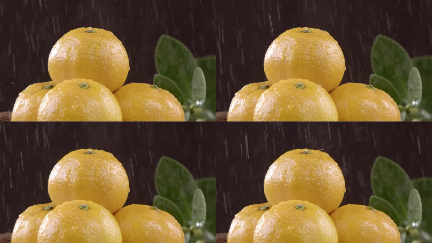橘子在雨中展示镜头