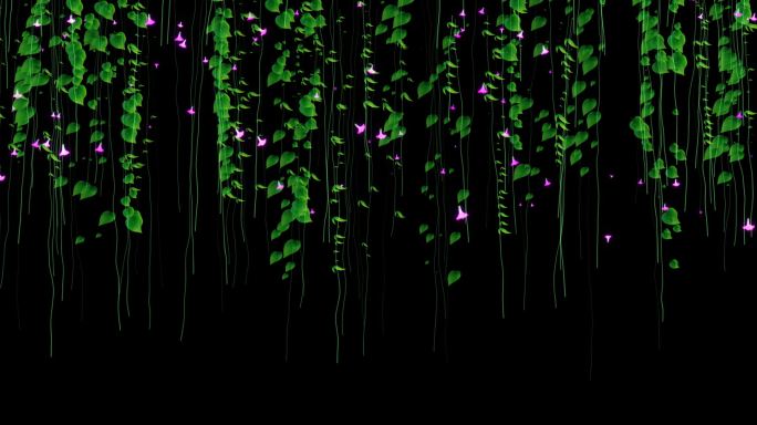 teamlab 牵牛花 植物生长 藤蔓