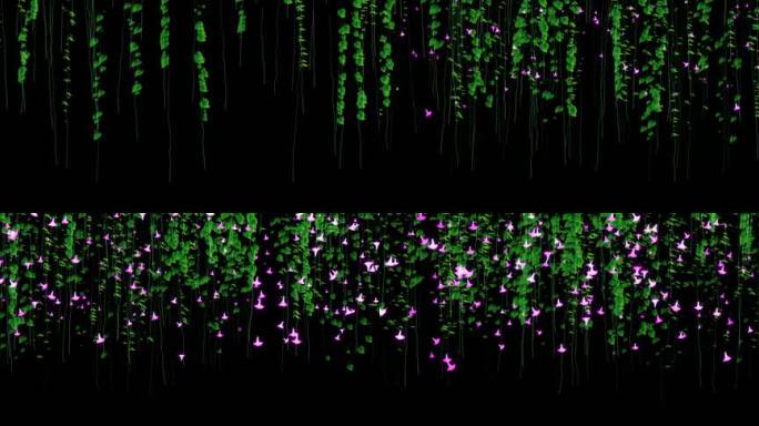 teamlab 牵牛花 植物生长 藤蔓