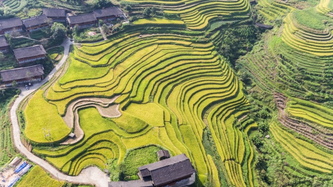 中国桂林龙胜龙脊梯田