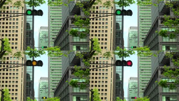 交通灯和现代办公楼和树木