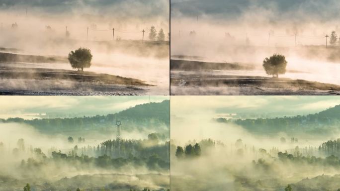 河道、地面上云海里的树平流雾震撼航拍6