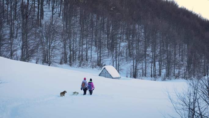 夫妇和狗在雪山上徒步旅行