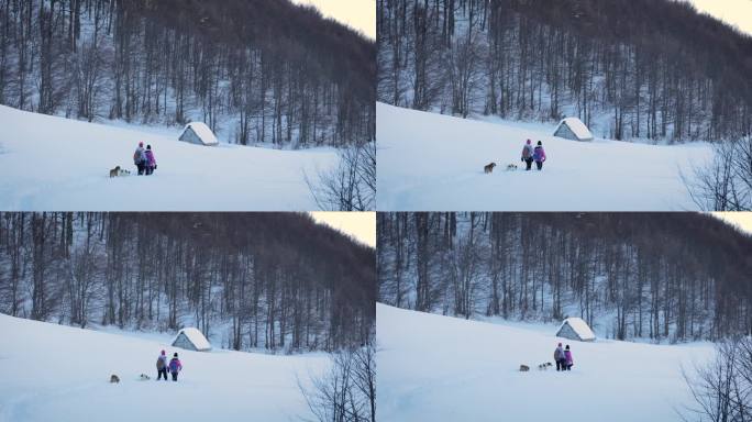 夫妇和狗在雪山上徒步旅行