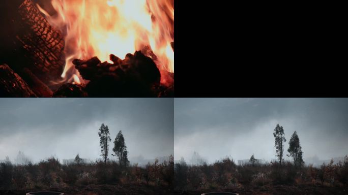 火碳视频木炭烧火特写镜头