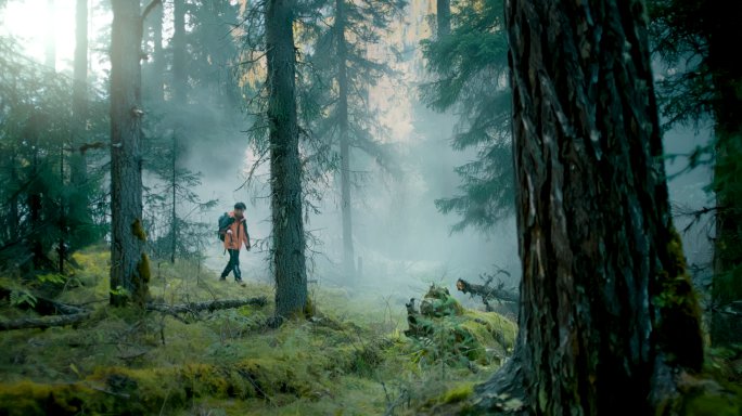 森林大自然树林徒步探险户外自然原始森林山
