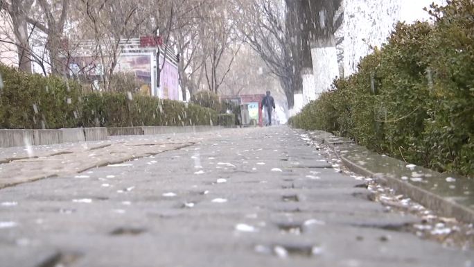 城市街路下大雪了市民出行困难雪花飞舞