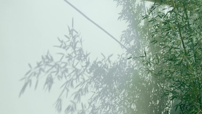 望江公园中式院墙竹子 灯笼 组镜