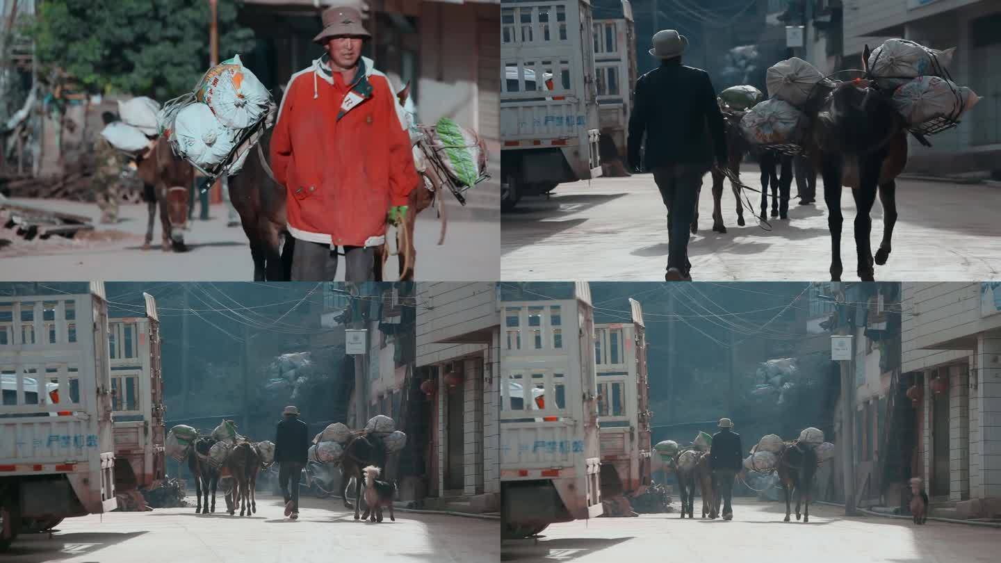 马帮视频乡下农村运送货物乡村马帮