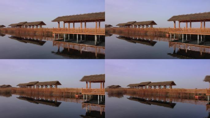 深秋湿地公园湖边摄影展