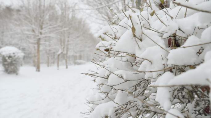 雪景空镜