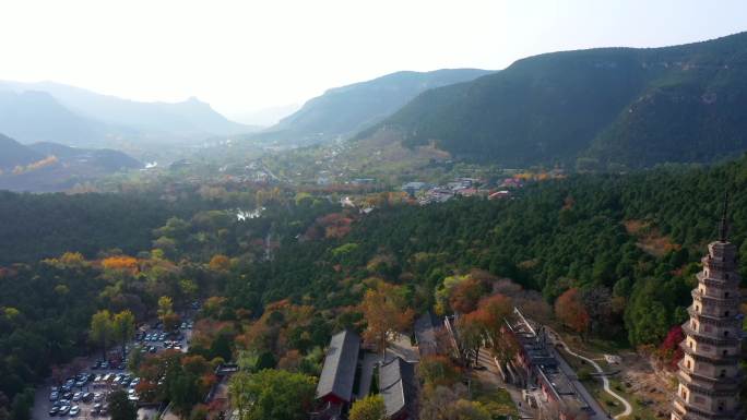 寺庙 银杏 古寺 灵岩寺