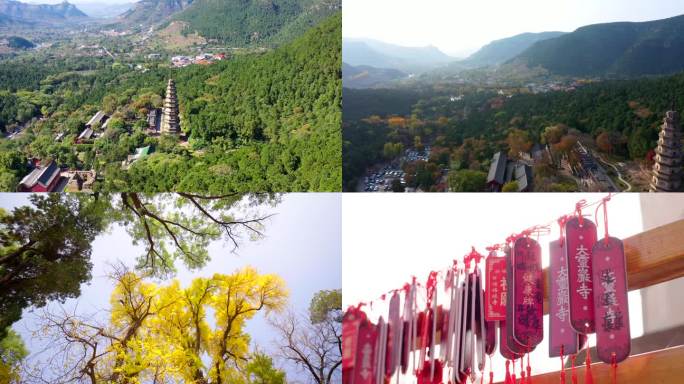 寺庙 银杏 古寺 灵岩寺