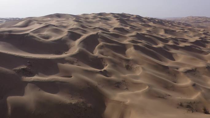 沙漠素材沙漠系列防沙治沙 环境治理抗旱