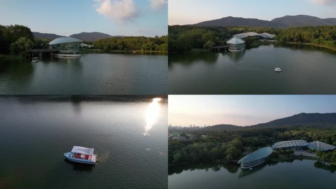 南京中山植物园前湖4K航拍