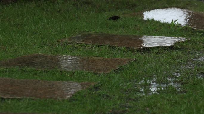 下雨 雨水石板路雨景下雨素材唯美下雨素材