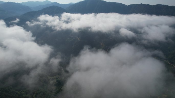 福建福安山中云雾