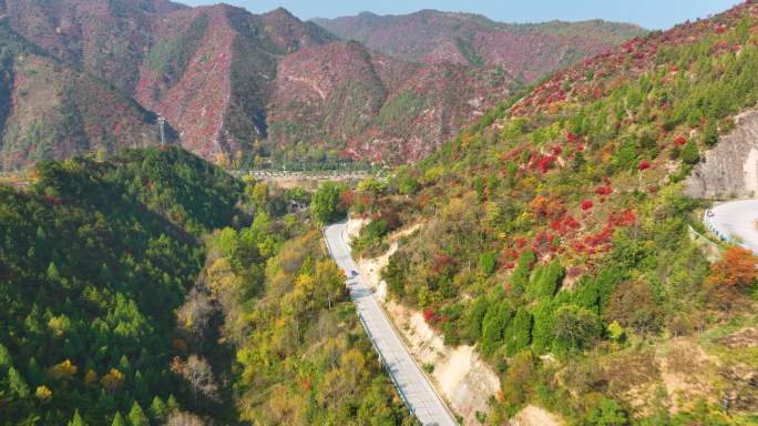 满山红叶汽车在山里行驶航拍空镜5