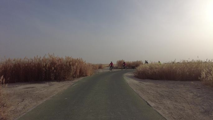 深秋湿地公园骑行游客