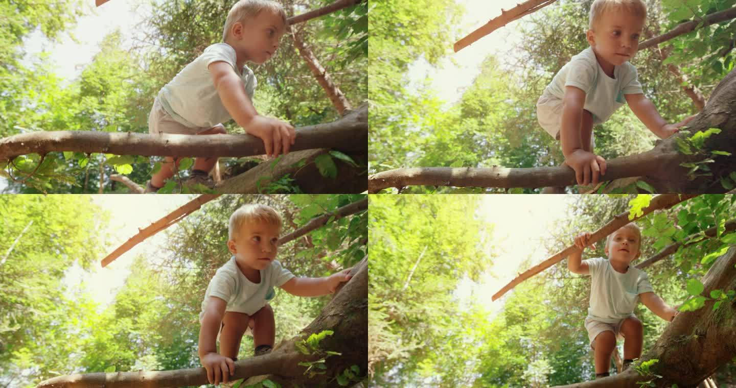 阳光明媚的森林里，一个小男孩爬上断了的树干
