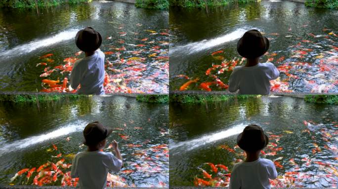 孩子和彩色锦鲤鱼在清澈的池塘里。禅与调解的概念