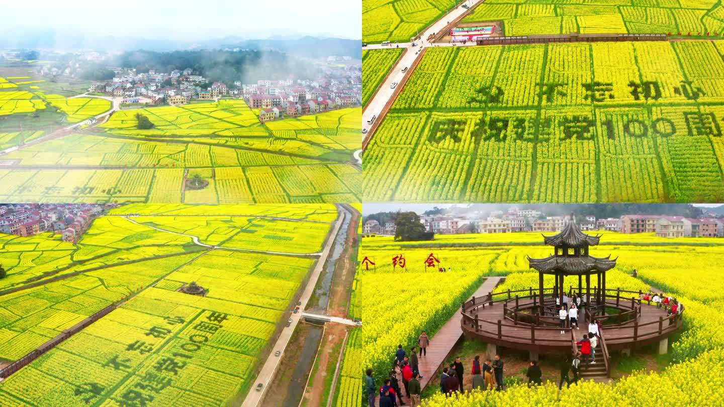 航拍美丽乡村油菜花海