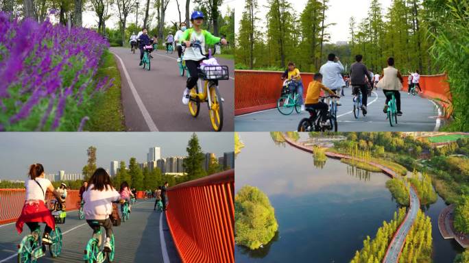 自行车单车骑行天府绿道运动健康城市生活