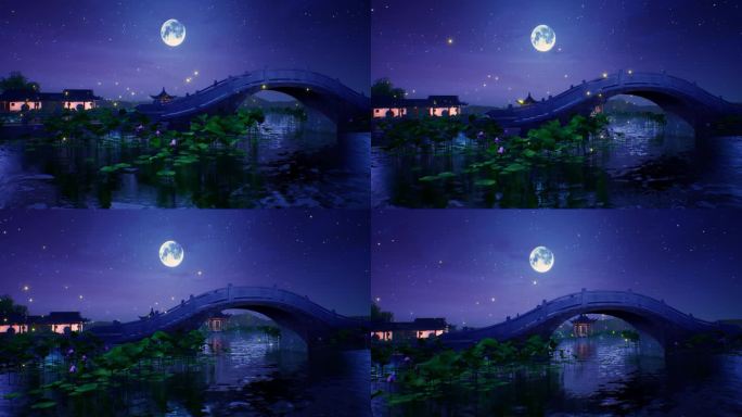 荷塘石桥夜色