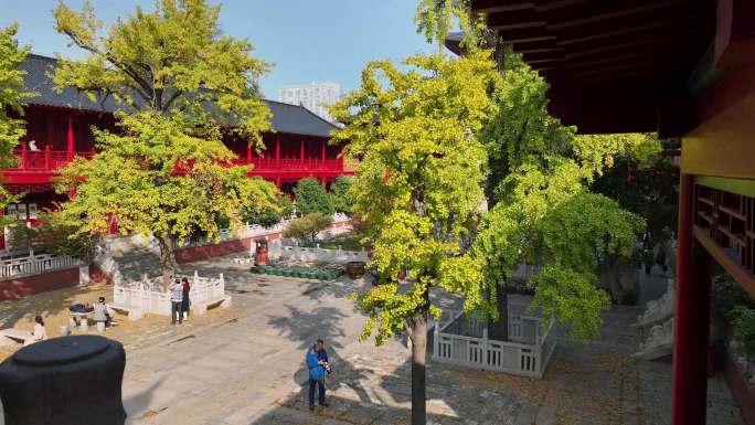 航拍秋日里的南京毗卢寺风光