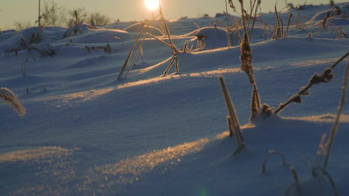 雪地枯草荒凉日落冰雪野草自然风景冬季