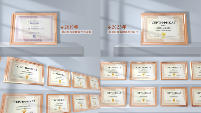 E3D高端荣誉证书包装AE模板