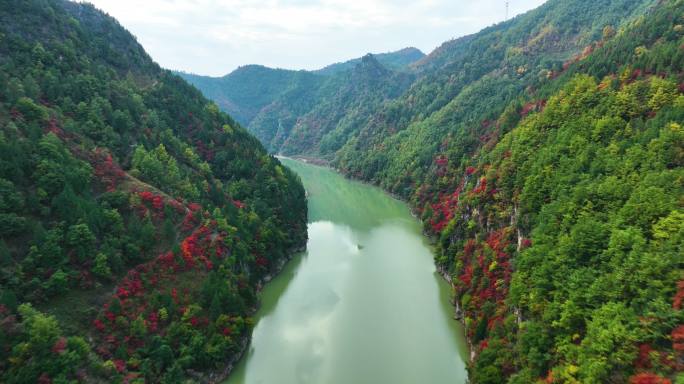 双龙湾东湖岭洛河秋景红叶航拍2