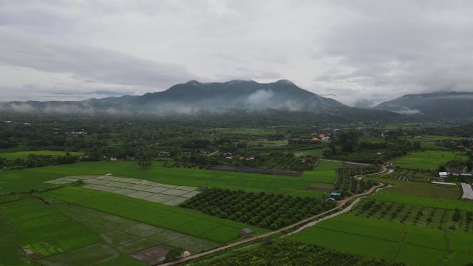 无人机雨雾山农场泰国