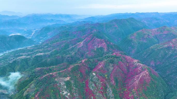 双龙湾东湖岭满山红叶震撼航拍群山1