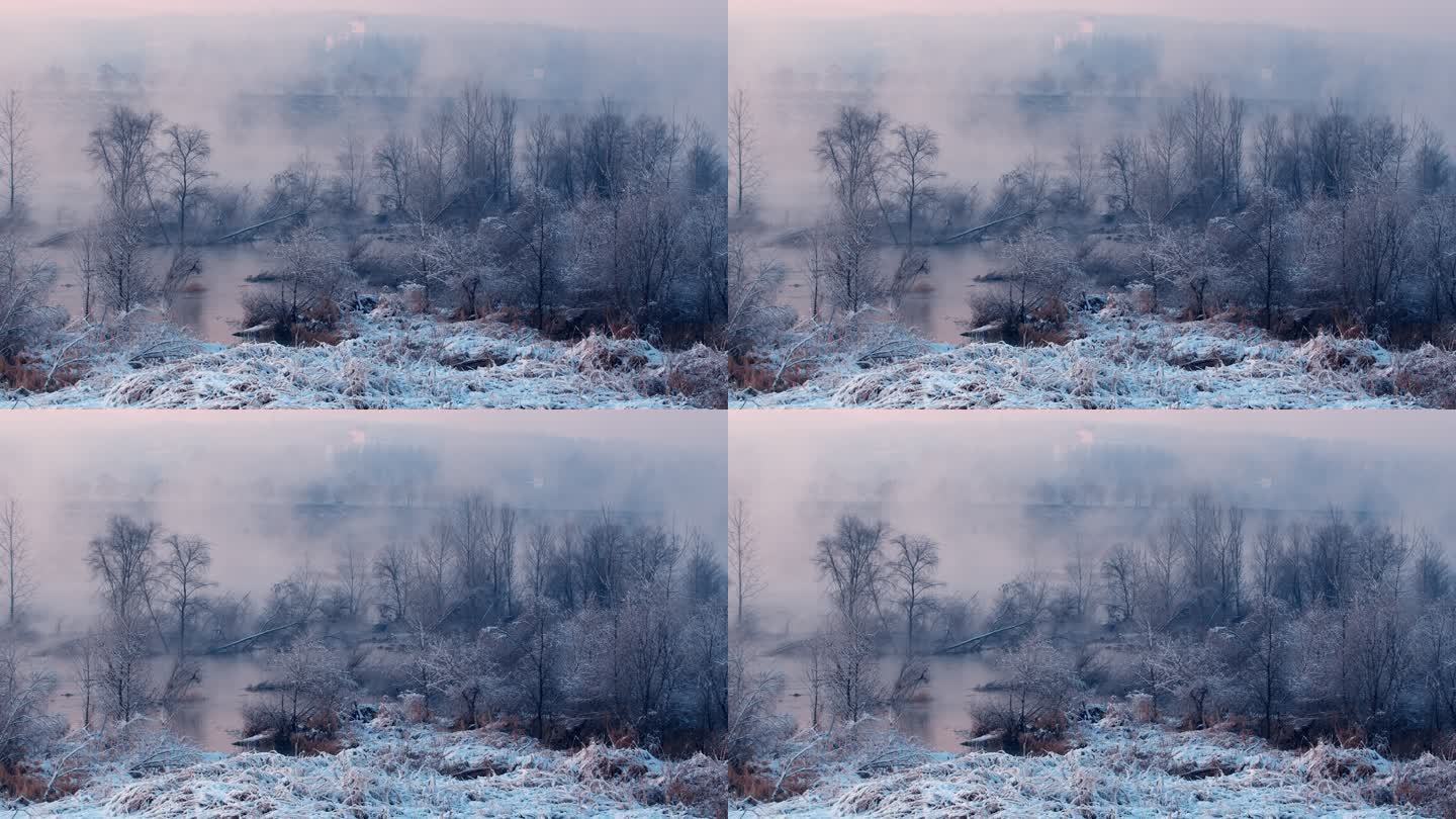 湿地 初冬 晨雾