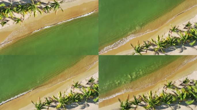 沙滩椰林海浪拍打沙滩合集