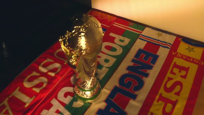 17个镜头世界杯足球杯与异国国旗调色