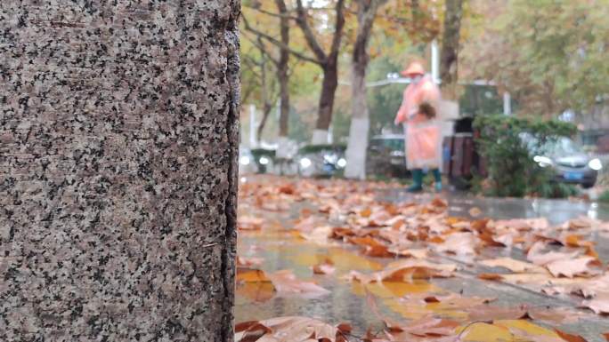 秋天街道落叶雨天环卫工人4K视频素材