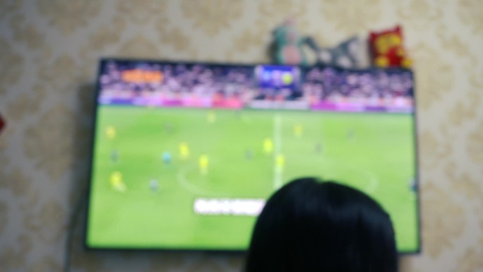 电视前观看足球比赛，看世界杯，球赛，电视
