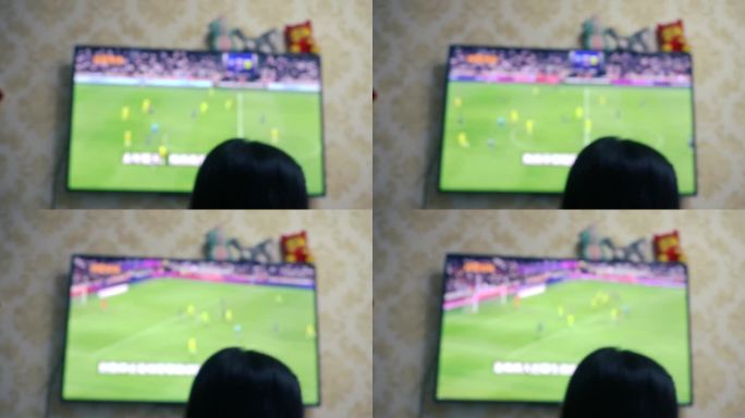 电视前观看足球比赛，看世界杯，球赛，电视