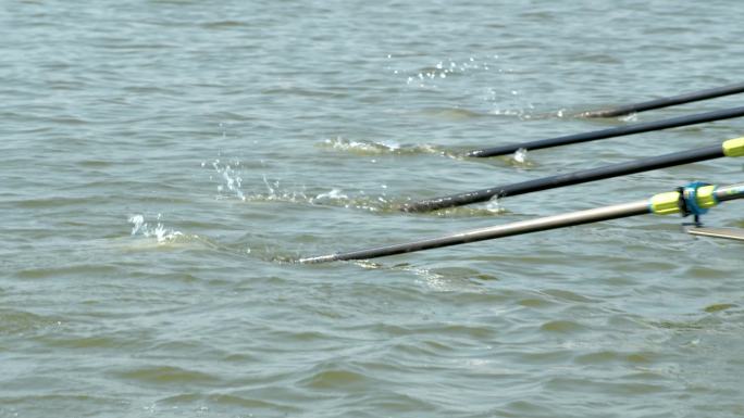 多人划船运动划桨船桨特写