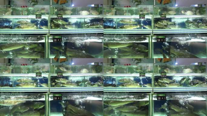 超市里的鱼