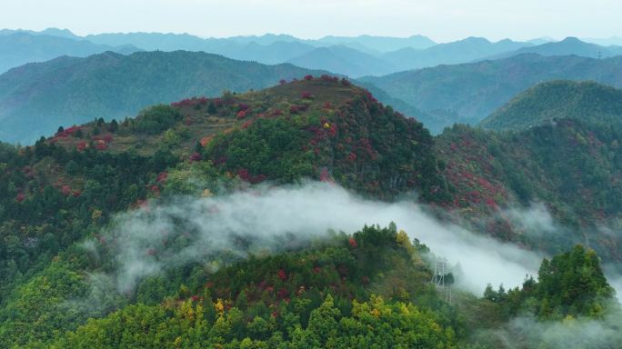 双龙湾东湖岭云海满山红叶震撼航拍群山6