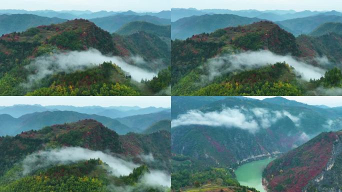 双龙湾东湖岭云海满山红叶震撼航拍群山6