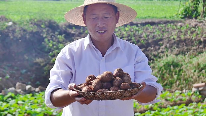 牛奶芋头