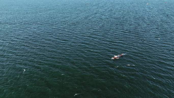 【5K】碧海蓝天，渔船出海，泛舟湖面