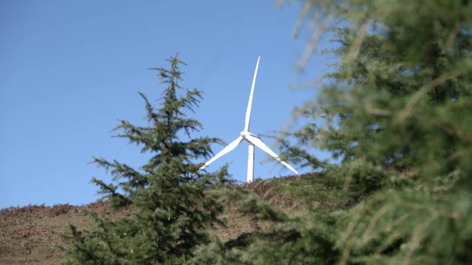 风力发电 大型风车